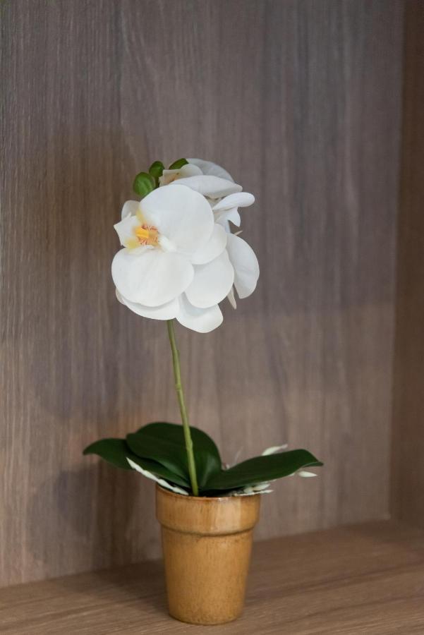 Medluxe Comfort Apartment Athens Luaran gambar